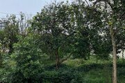 ویلا مبله دو خواب در چابکسر