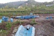 اجارره ویلا تکخواب مبله آبشار در تالش
