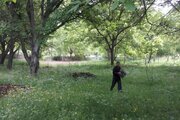 آپارتمان مبله تک خواب در کلیبر کد 2