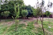 ویلا تک خواب خوش بهار در کوهرنگ