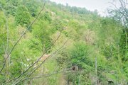 کلبه چوبی دوخواب مبله در ماسال