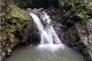 کلبه ی چوبی جنگلی محیا در لاهیجان