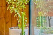 کلبه دوبلکس سوئیسی دوخواب راش در ماسال