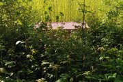 کلبه جنگلی طبقه ی دوم در سواد کوه