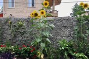 ویلای ساحلی دو خوابه تیجا میجا
