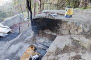 ویلابهشت گمشده سوادکوه