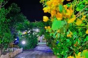 باغ ویلا استخردار دوخواب در دزفول