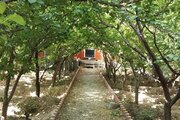 ویلا سنتی تکخواب باغ در شهر کرد