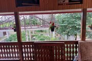 سوئیت مبله ویشکا سرا در کوچصفهان