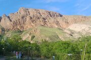 واحد مبله تکخواب در طبقه همکف ویلا در معلم کلایه