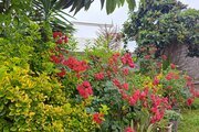 خانه ویلایی دو خواب مبله در نور