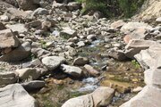 خانه ویلایی جنگلی تکخواب در سواکوه