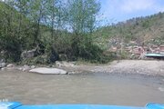 ویلا تکخواب جنگلی آریا در شیرگاه