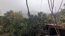 واحد در طبقه دوم ویلای اربکله در رامسر