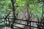 کلبه مبله جکوزی دار ( ویوا) در مجموعه هتلی در خلیل شهر
