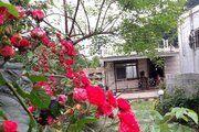 خانه ویلایی تکخواب مبله رایان 8 در اسالم