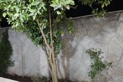 ویلا دوخواب مبله بهشت تالاب در بندر انزلی