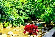 ویلا تکخواب کنار رودخانه در ماسال