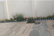 ویلا تکخواب در گناوه