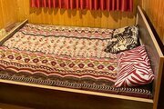 کلبه چوبی دو خواب در مازندران