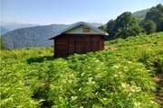 کلبه ییلاقی 27 متری تک خواب در ماسال