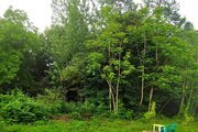 کلبه سوئدی تکخواب در شیرگاه