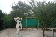ویلا استخردار مبله دوخواب دلنواز در قائم شهر