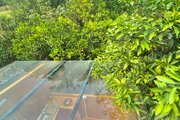 کلبه سقف شیشه ای مبله در سوادکوه