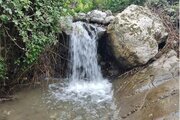 واحد تکخواب در طبقه همکف ویلای سواد کوه