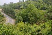 ویلا جنگلی دو خواب شمشاد در اربه کله
