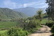 ویلا مبله تک خواب قرقاول در علی آباد