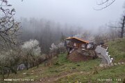 کلبه مبله تکخواب نمدار در شیرگاه