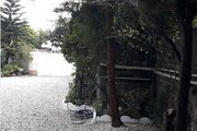 آپارتمان مبله یاس یک خوابه در رامسر