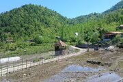 ویلا تکخواب جنگلی آریا در شیرگاه