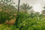 اتاق دالانی در بومگردی در جهرم