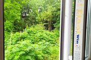 کلبه سوئدی تکخواب در شیرگاه