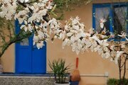 ویلای گیل سو در رشت