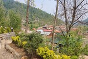 کلبه دوبلکس سوئیسی لفور در سوادکوه