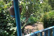 ویلا مبله تک خواب در رودبار