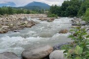 کلبه جنگلی تک خواب در تنکابن