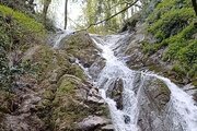 سوئیت ویلا مبله در رشت