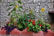 ویلای ساحلی دو خوابه تیجا میجا