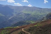کلبه چوبی تک خواب در ماسال