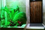 ویلا دوبلکس سه خواب ساحلی صدف در نوشهر