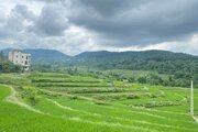 کلبه سوئیسی دوبلکس تکخواب آنجلیکا در سوادکوه