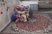سوئیت مبله در مشهد