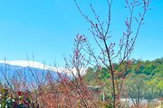 کلبه سوئیسی دوبلکس دوخواب وارش در چمستان (3)