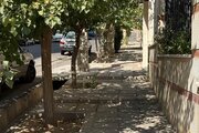 آپارتمان مبله تکخواب در شیراز