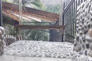ویلا لوکس جنگلی در رامسر