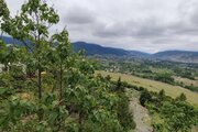 آپارتمان مبله دوخواب شادی در کلاردشت